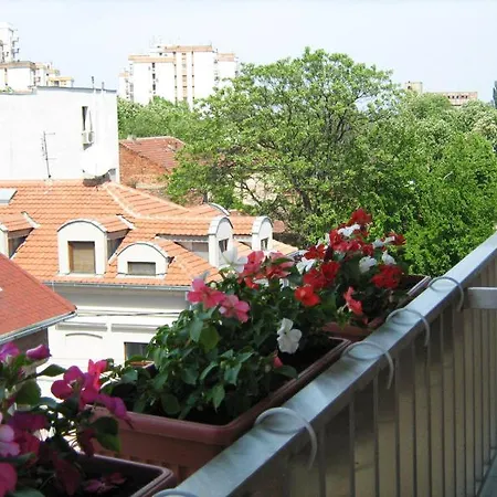 Apartment One Bedroom Dorcol Live
